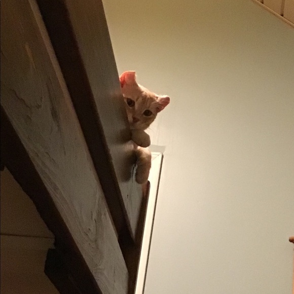 Hi! - Picture 2 of 4